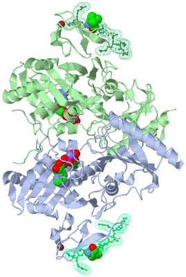 Image Asym./Biol. Unit