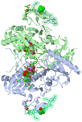 Image Asym./Biol. Unit - sites