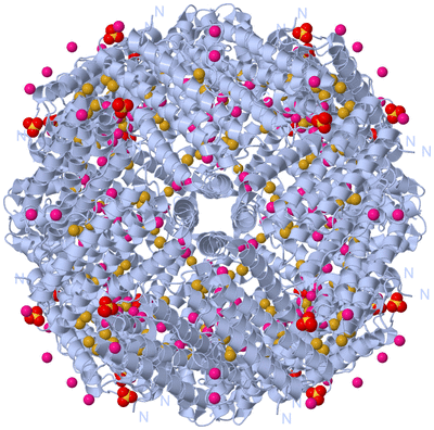 Image Biological Unit 1