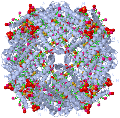 Image Biol. Unit 1 - sites