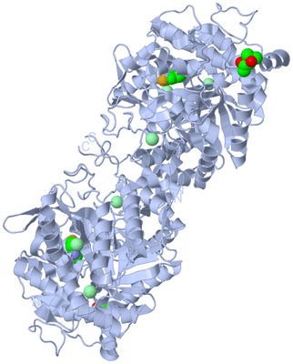 Image Biological Unit 1