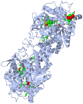 Image Biol. Unit 1 - sites