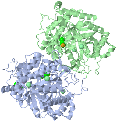 Image Biological Unit 2