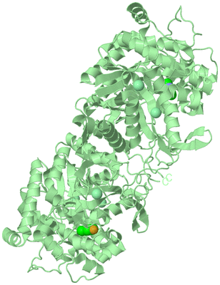 Image Biological Unit 3