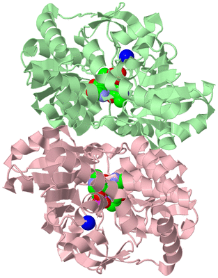 Image Biological Unit 2