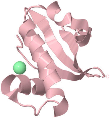 Image Biological Unit 3