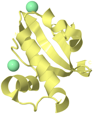 Image Biological Unit 4