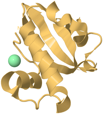 Image Biological Unit 7