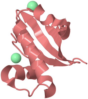 Image Biological Unit 8