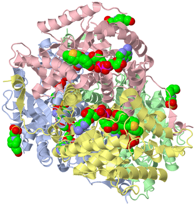 Image Asym./Biol. Unit