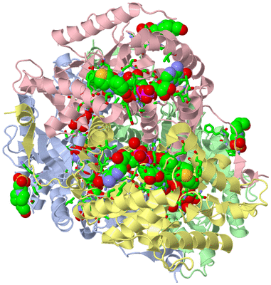 Image Asym./Biol. Unit - sites