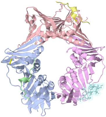 Image Asym./Biol. Unit