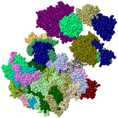 Image Asym./Biol. Unit - sites