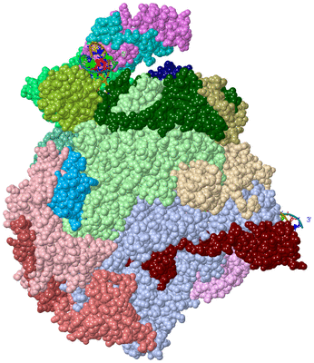 Image Asym./Biol. Unit