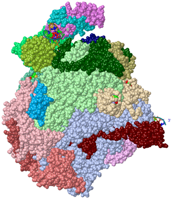 Image Asym./Biol. Unit - sites