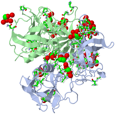 Image Asym./Biol. Unit - sites