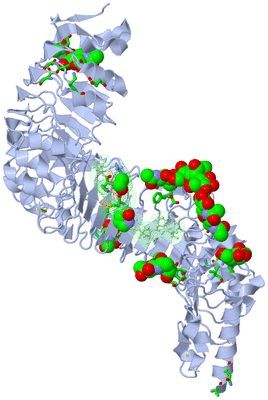 Image Asym./Biol. Unit - sites