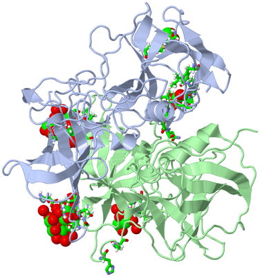 Image Asym./Biol. Unit - sites