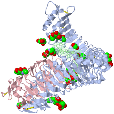 Image Asym./Biol. Unit