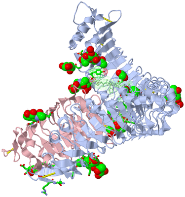 Image Asym./Biol. Unit - sites