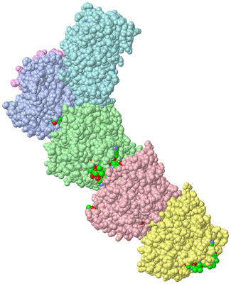 Image Asym./Biol. Unit - sites