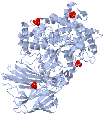 Image Biological Unit 1