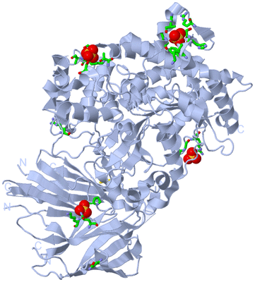 Image Biol. Unit 1 - sites