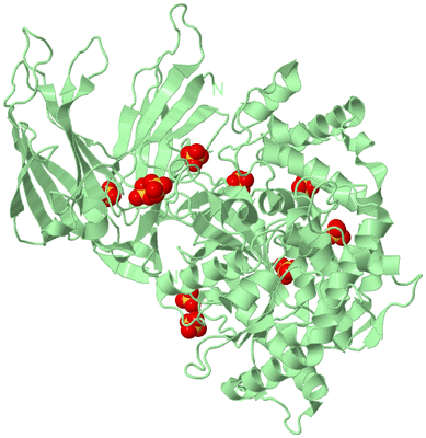 Image Biological Unit 2