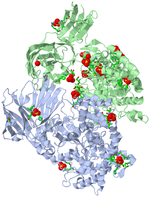 Image Asym. Unit - sites