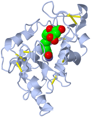 Image Biological Unit 1