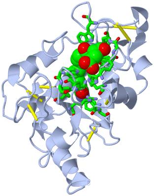 Image Biol. Unit 1 - sites