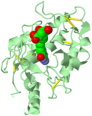 Image Biological Unit 2