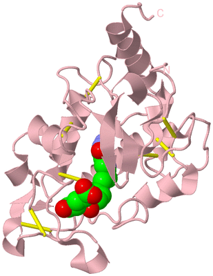 Image Biological Unit 3