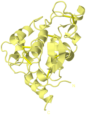 Image Biological Unit 4