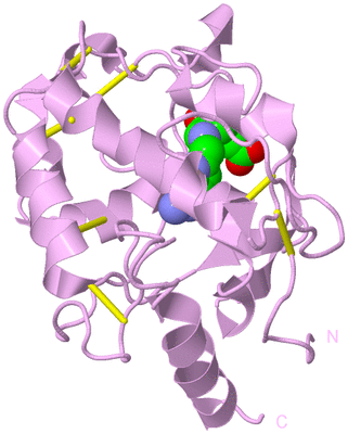 Image Biological Unit 5