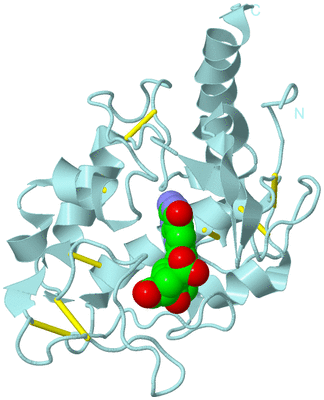 Image Biological Unit 6