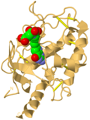 Image Biological Unit 7