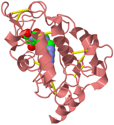 Image Biological Unit 8