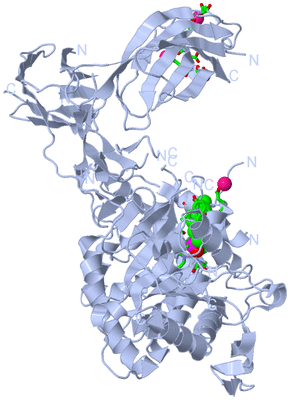 Image Biol. Unit 1 - sites