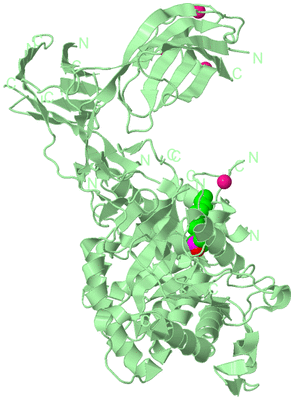 Image Biological Unit 2