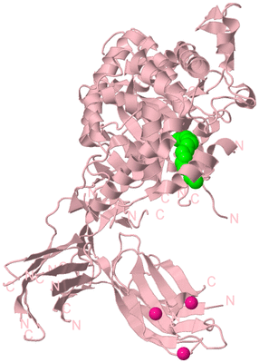 Image Biological Unit 3