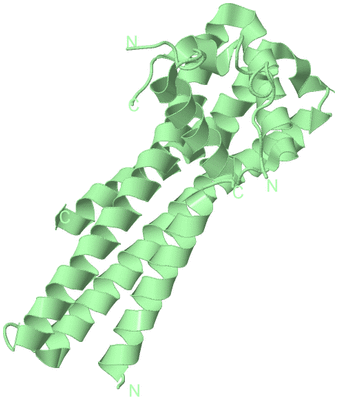 Image Biological Unit 2