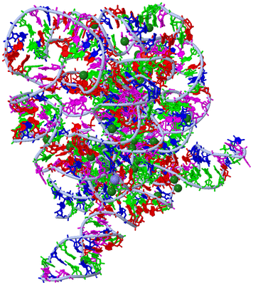 Image Asym./Biol. Unit