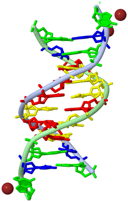 Image Biological Unit 1