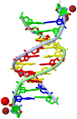 Image Biol. Unit 1 - sites