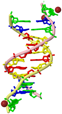 Image Biological Unit 2