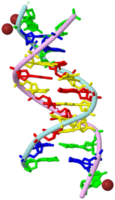 Image Biological Unit 3