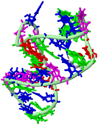 Image NMR Structure - model 1