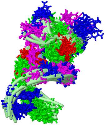 Image NMR Structure - all models