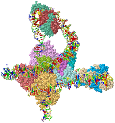 Image Asym./Biol. Unit